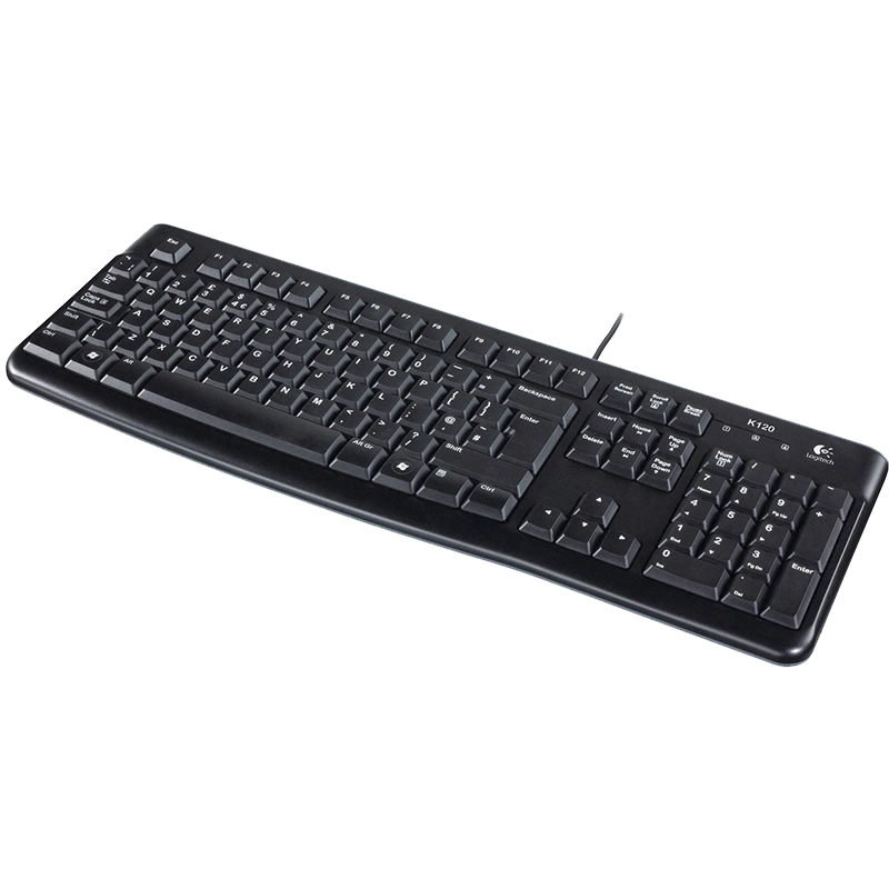 wang over het algemeen chocola Logitech K120 - CompuStore